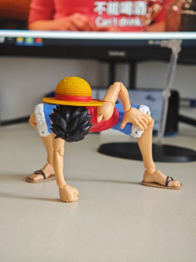 S.H.Figuarts 航海王 蒙奇·D·路飞 -冒险的黎明-