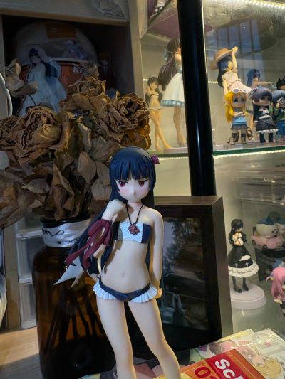 沙滩女王 我的妹妹不可能那么可爱 五更瑠璃 泳装 电击限定