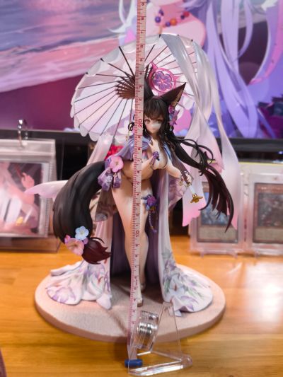 蔚蓝档案 狐坂若藻 泳装