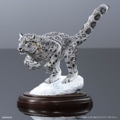 生物大图鉴 陈列模型系列 野生猫科动物