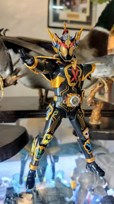 S.H.Figuarts 假面骑士灵骑   感恩魂