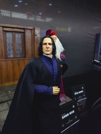 哈利·波特与混血王子 西弗勒斯·斯内普