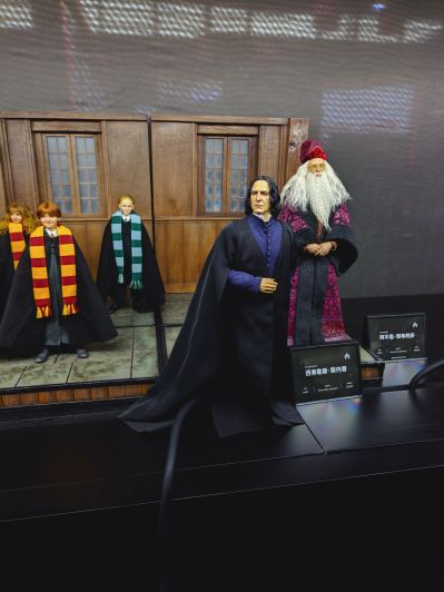 哈利·波特与混血王子 西弗勒斯·斯内普