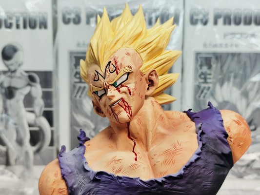 龙珠Z History Box  魔人贝吉塔