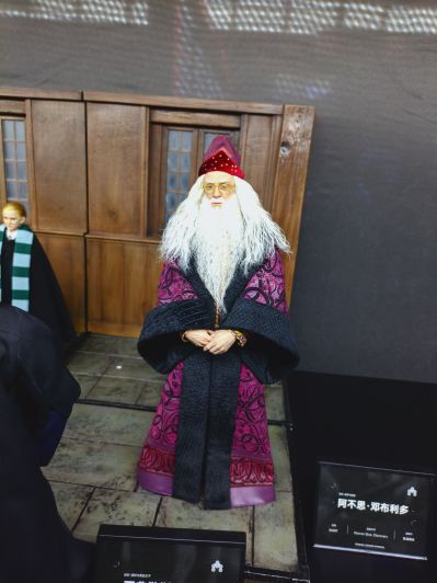 哈利·波特与混血王子 西弗勒斯·斯内普