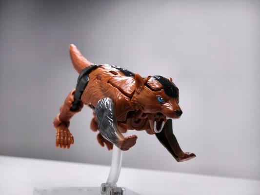 变形金刚传世系列 TL-61 幼獾