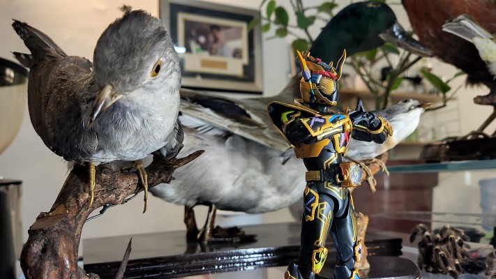 S.H.Figuarts 假面骑士灵骑   感恩魂