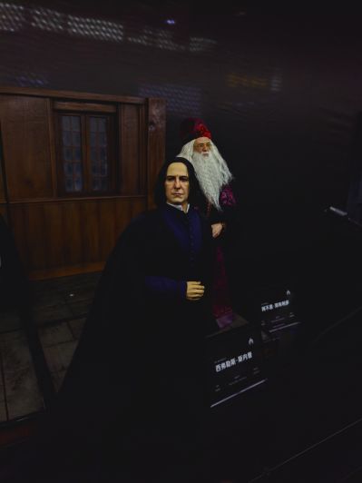 哈利·波特与混血王子 西弗勒斯·斯内普