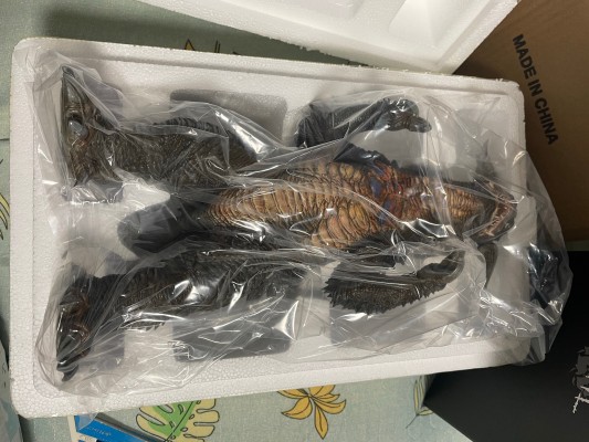 软胶制涂装完成品 KRS阳戈