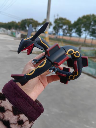 宝可梦模型 46 精灵宝可梦 烈空坐