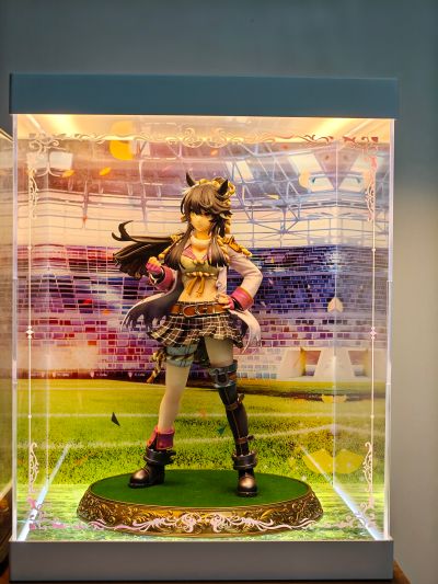 赛马娘 / 闪耀！优俊少女 帝王光辉