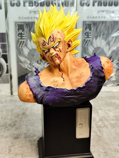 龙珠Z History Box  魔人贝吉塔