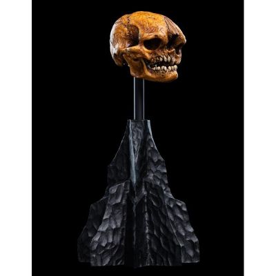 霍比特人 迷雾山脉 哥布林头骨