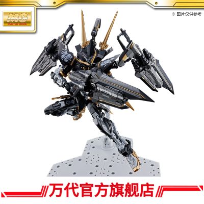 MG 1/100异端高达［交叉对比色／朽木黑］