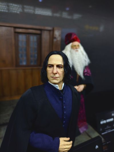 哈利·波特与混血王子 西弗勒斯·斯内普