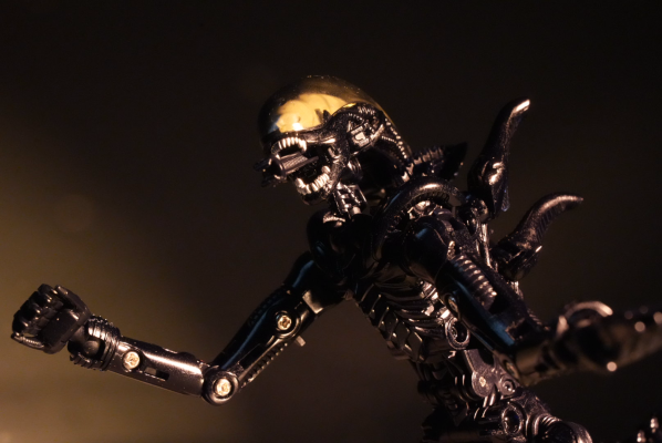 52TOYS 猛兽匣 IB13 异形