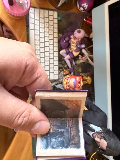 TMS135 《星期三》星期三