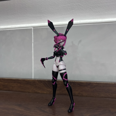 Anima Circuit 薇奥兔子