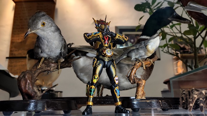 S.H.Figuarts 假面骑士灵骑   感恩魂