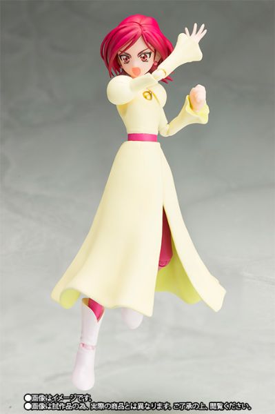 S.H.Figuarts 日向咲和雾生满 套装