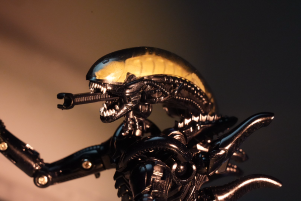 52TOYS 猛兽匣 IB13 异形