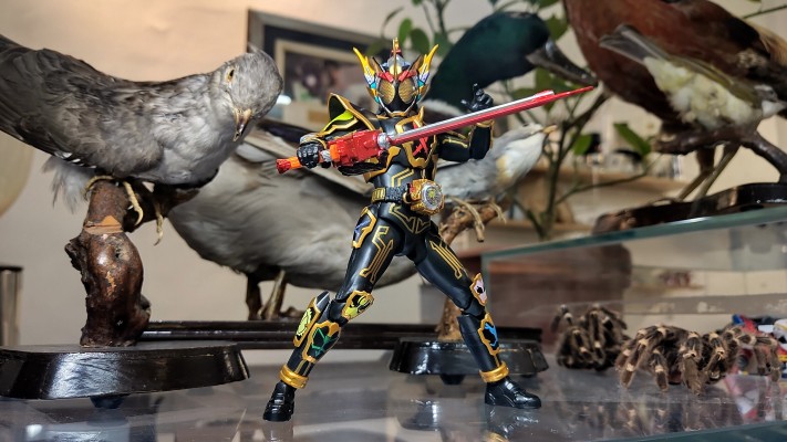 S.H.Figuarts 假面骑士灵骑   感恩魂