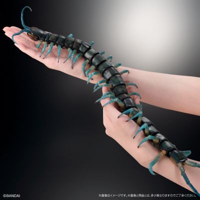 终极生物大图鉴系列 琉神大蜈蚣