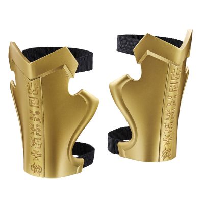 CSM变身腰带 亚古鲁 空我25周年纪念版