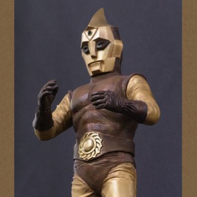 P-Pro英雄系列 「电子分光人」