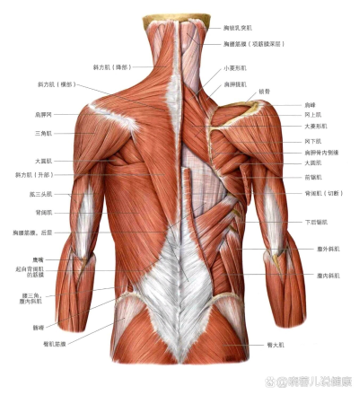 肉感少女 猫耳女仆 丝黛拉 明润眼