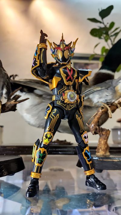 S.H.Figuarts 假面骑士灵骑   感恩魂