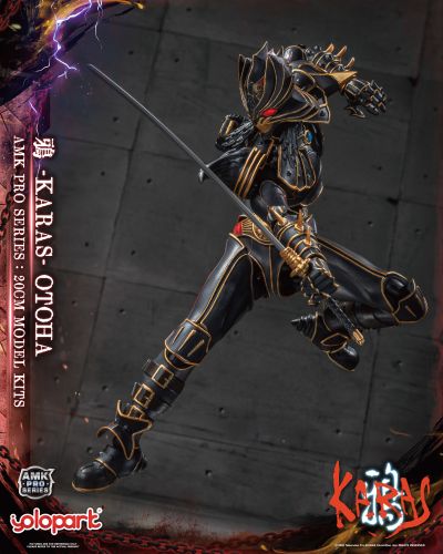 AMK PRO系列 鸦 -KARAS- 乙羽鸦 新生版