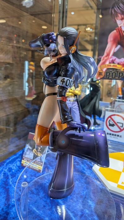 POP 航海王 Evolutionary History  妮可·罗宾