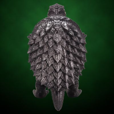 中等尺寸系列 加美拉【第9弹】加美拉（1967） 标准版