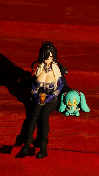 宝可梦模型 快快拼系列！！ 04 伊布