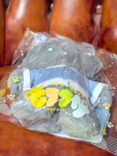 电影 GIVEN:去海边 毛绒绒玩偶 上山立夏