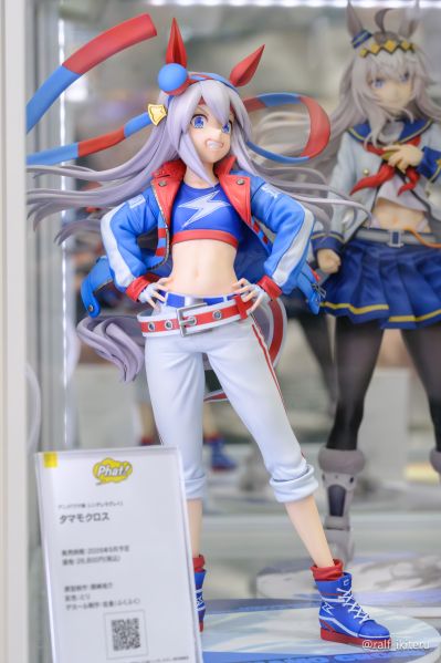 赛马娘 芦毛灰姑娘 玉藻十字