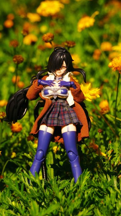 宝可梦模型 快快拼系列！！ 04 伊布