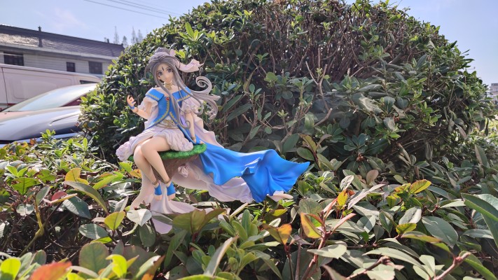 我的女神 贝露丹蒂