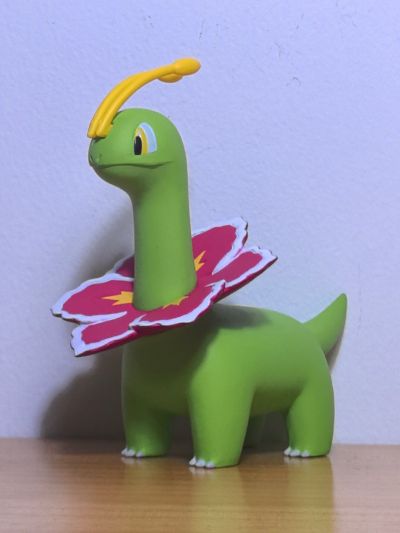 宝可梦比例世界 城都地区 大竺葵