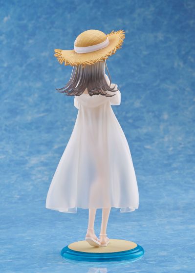 Dream Tech 学园偶像大师 筱泽广 泳装