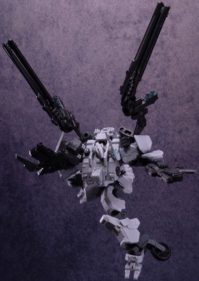 迷惘商会：异鸟代码 钢岚 XR