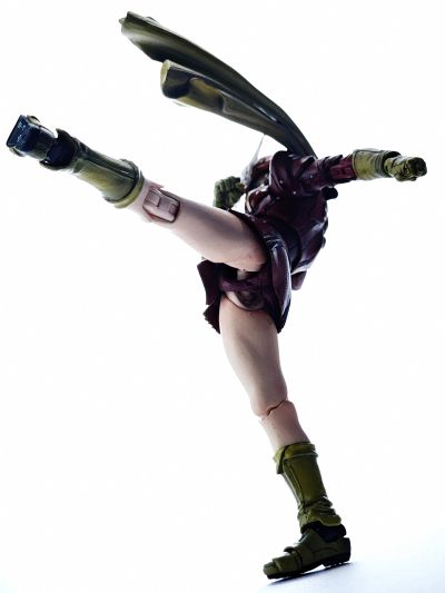 S.I.C. VOL.55  假面骑士强人 与 电波人塔克尔