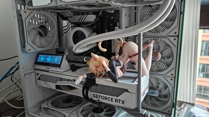 女仆喵姬 猫可可