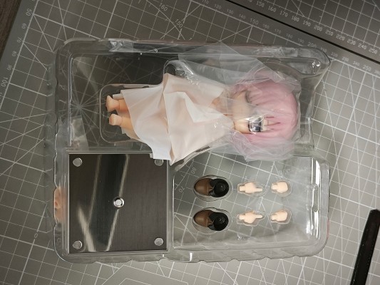 粘土娃 命运-冠位指定 盾兵-玛修·基列莱特 便服