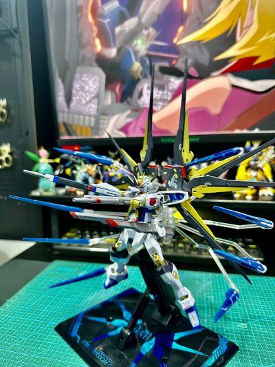 METAL ROBOT魂 ＜机动战士系列＞ 强袭自由高达 [Re:Coordinate]