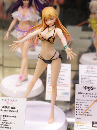 更衣人偶坠入爱河 喜多川海梦  [Summer Queens]