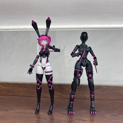 Anima Circuit 薇奥兔子