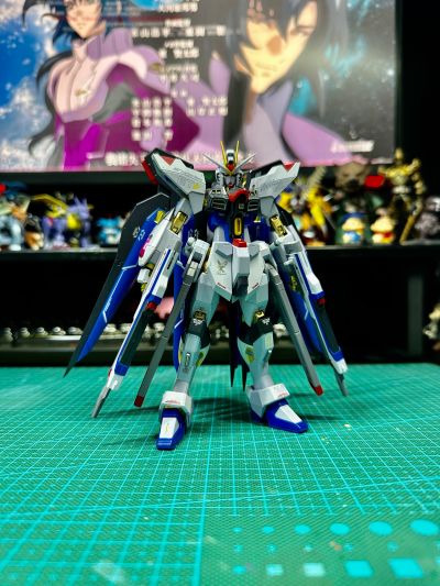 METAL ROBOT魂 ＜机动战士系列＞ 强袭自由高达 [Re:Coordinate]