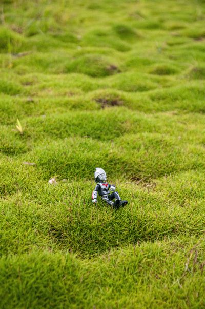 BB戦士 三国伝 动画版 018 真 龍装 劉備(りゅうそう りゅうび) 高达